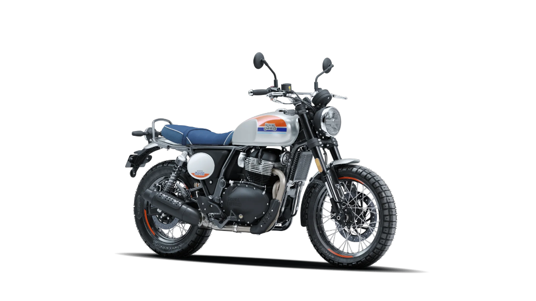 Bear 650 - Boardwalk White - 2