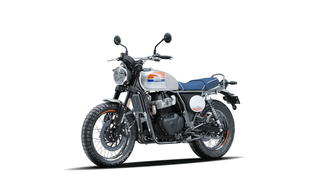 Bear 650 - Boardwalk White - 4