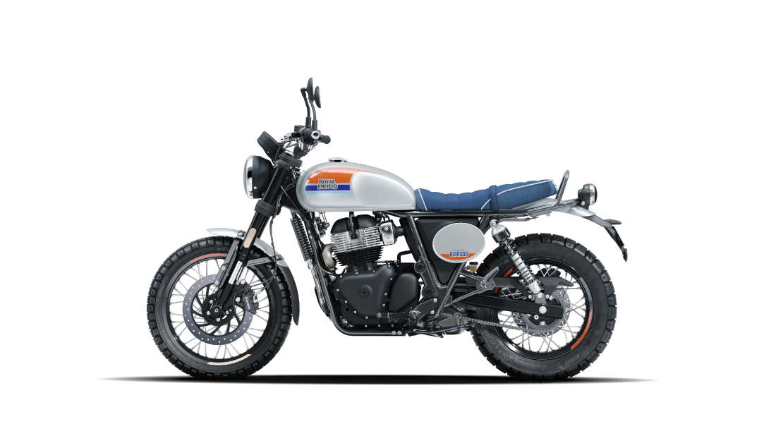 Bear 650 - Boardwalk White - 5