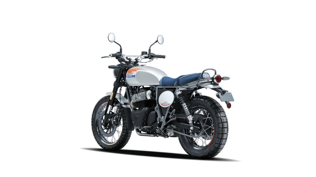 Bear 650 - Boardwalk White - 6