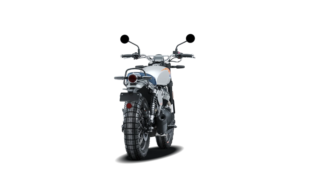 Bear 650 - Boardwalk White - 7