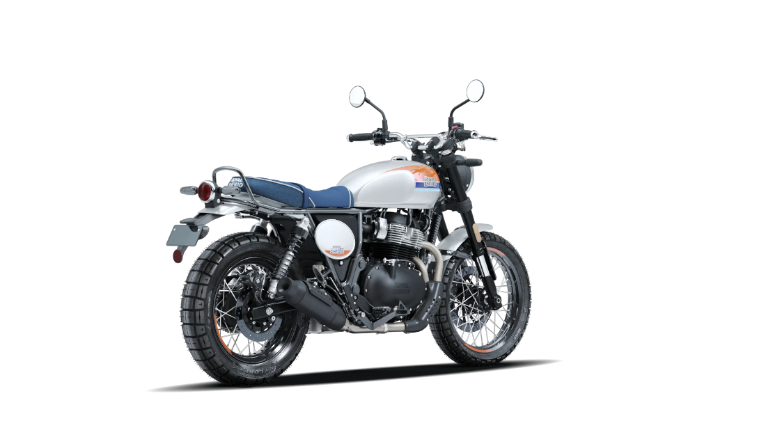 Bear 650 - Boardwalk White - 8